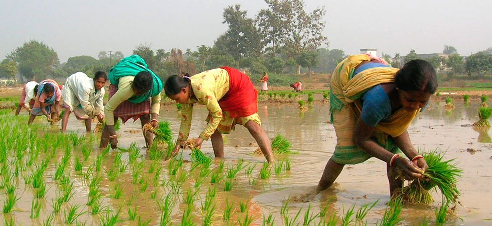 प्रधानमंत्री कृषि सिंचाई योजना