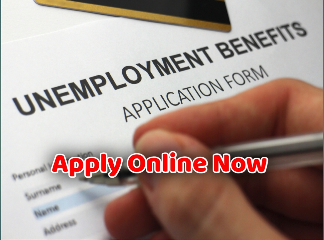 Unemployment allowance online application