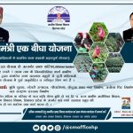 HP CM 1 Bigha Yojana 2020