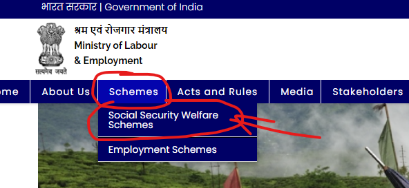 eshram portal schemes