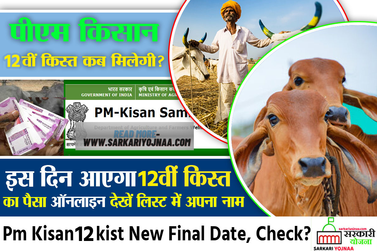 pm kisan 12 kist