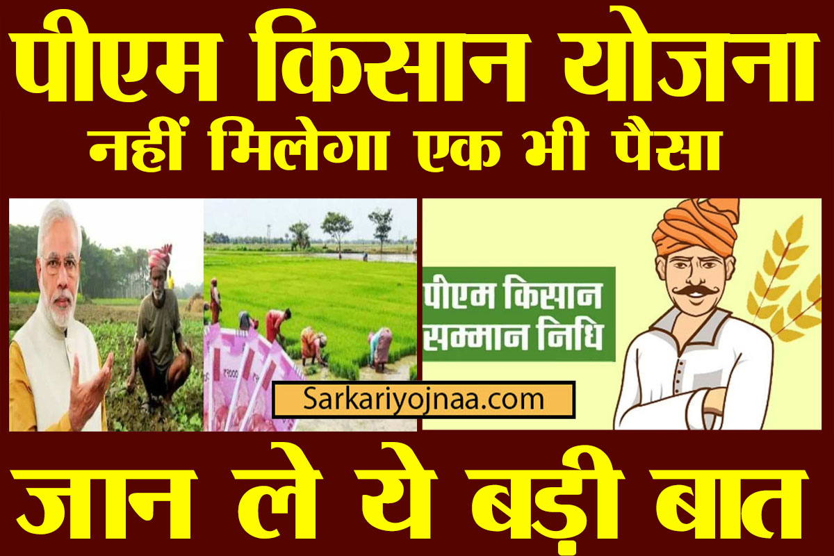 pm kisan update