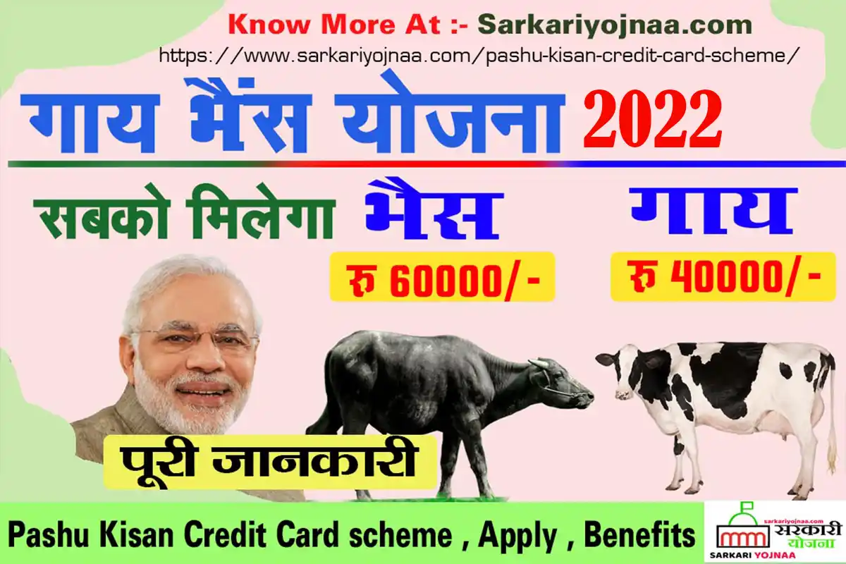 Pashu Kisan Credit Card,पशु किसान क्रेडिट कार्ड, Pashu Kisan Yojana,Pashu Kcc,पशु किसान क्रेडिट कार्ड योजना