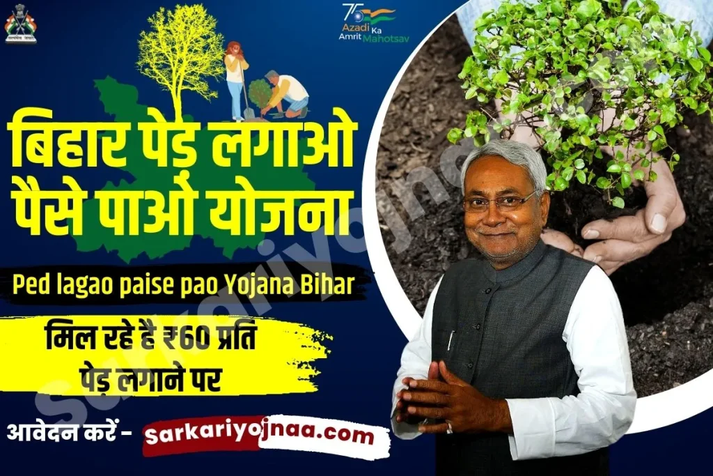 ,Bihar Ped Lagao Paise Pao Yojana ,Ped lagao paise pao ,ped lagao yojana bihar ,ped lagao yojana bihar 2022 ,ped lagao scheme bihar ,ped lagao paise pao scheme ,पेड़ लगाओ पैसे पाओ ,Tree plantation scheme Bihar 2022 ,पेड़ लगाओ योजना 2022 ,वृक्षारोपण योजना बिहार 2022