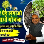 Bihar Ped Lagao Paise Pao Yojana