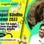 YSR Kapari Bandhu Scheme 2022