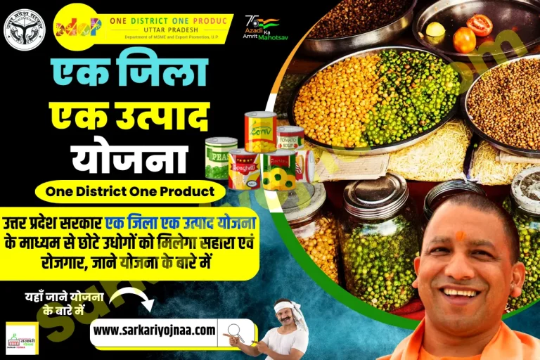 One District One Product (ODOP) : क्या है, लाभ और कैसे करें आवेदन?