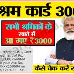 E shram 3000