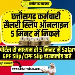 Chhattisgarh Employee Salary Slip 2023