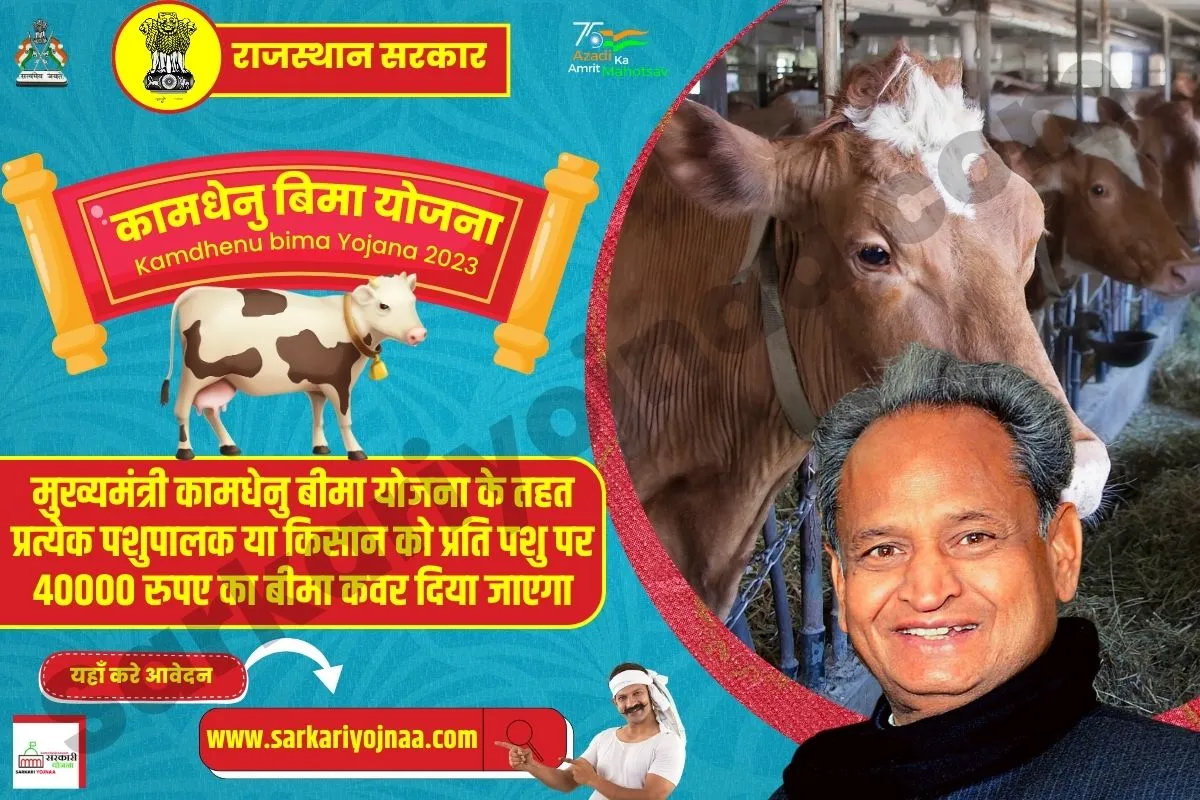 Mukhyamantri Kamdhenu Bima Yojana 2023