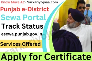 Punjab e-District Sewa Portal: Apply for Certificate, Track Status