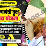 mukhyamantri vriksh sampada yojana chhattisgarh, मुख्यमंत्री वृक्ष संपदा योजना