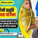 भगिनी प्रसूति सहायता योजना, Chhattisgarh Bhagini Prasuti Sahayata Yojana 2023