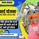 e sharm card yojana payment status 2023