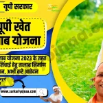 UP Khet Talab Yojana 2023, यूपी खेत तालाब योजना 2023