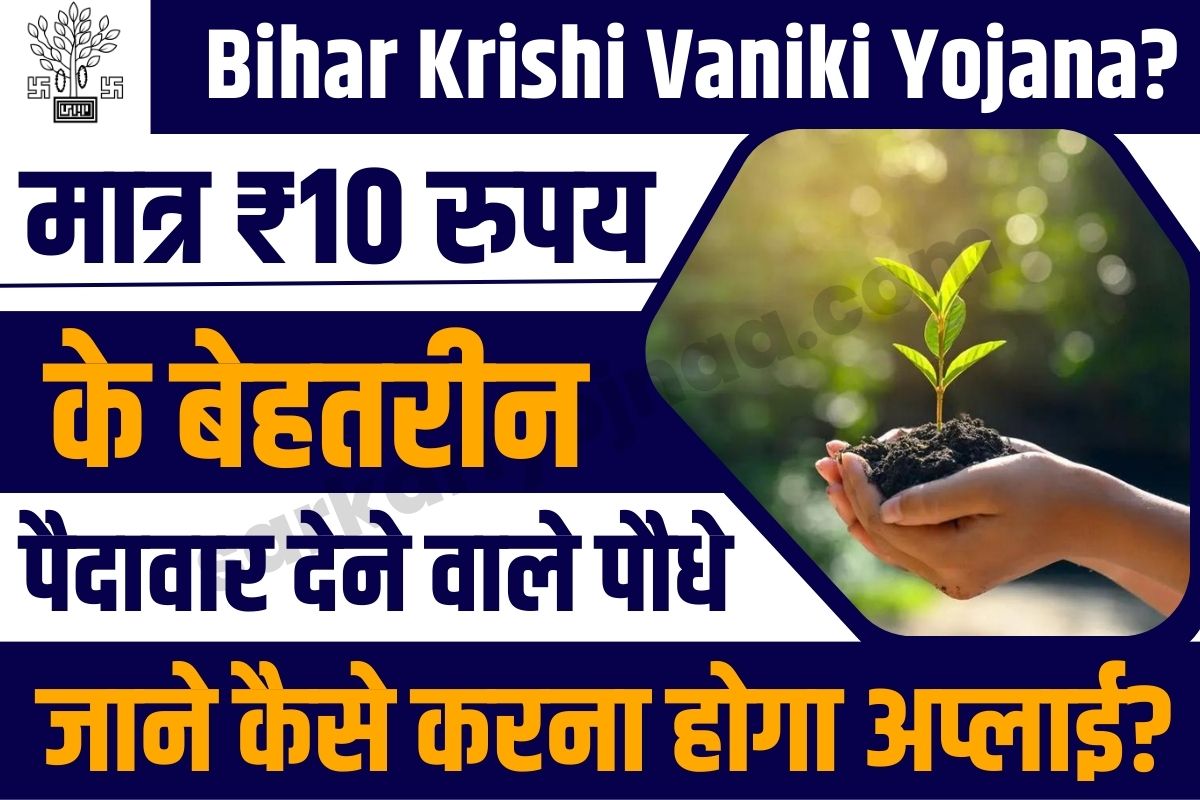 Bihar Krishi Vaniki Yojana?