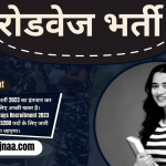 Rajasthan Roadways Recruitment 2023 राजस्थान रोडवेज भर्ती 2023