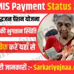 SSPMIS Payment Status