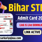 Bihar STET Admit Card 2023 Download