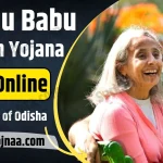 Madhu Babu Pension Yojana