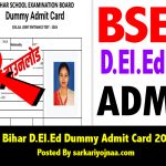 BSEB Bihar D.El.Ed Dummy Admit Card 2024