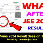 JEE Main 2024 result