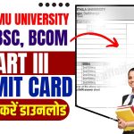 LNMU Part 3 Admit Card