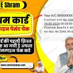 e Shram Card Balance Status