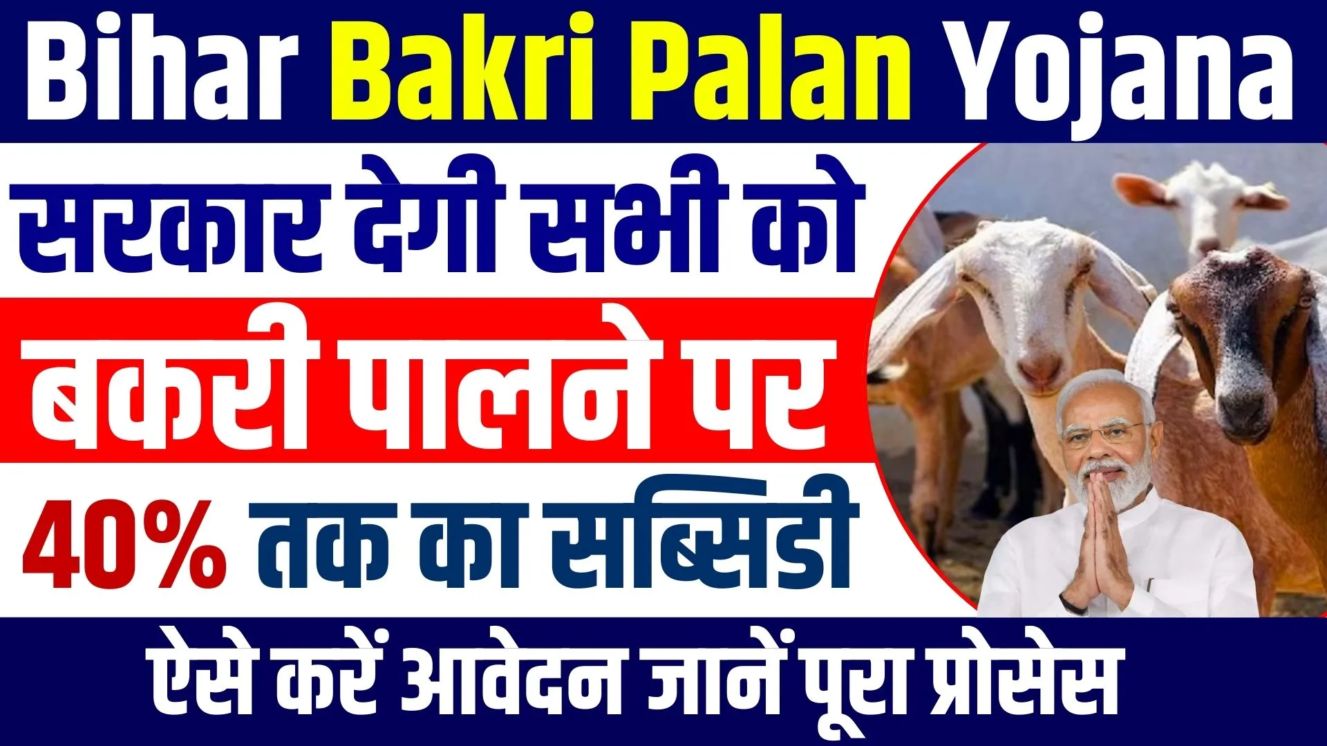 Bihar Bakri Palan Yojana 2024