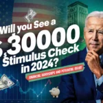 $30000 Stimulus Check 2024