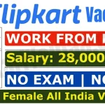 Flipkart Work From Home 2024