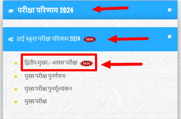 CGBSE Class 10 Supplementary Result 2024 link