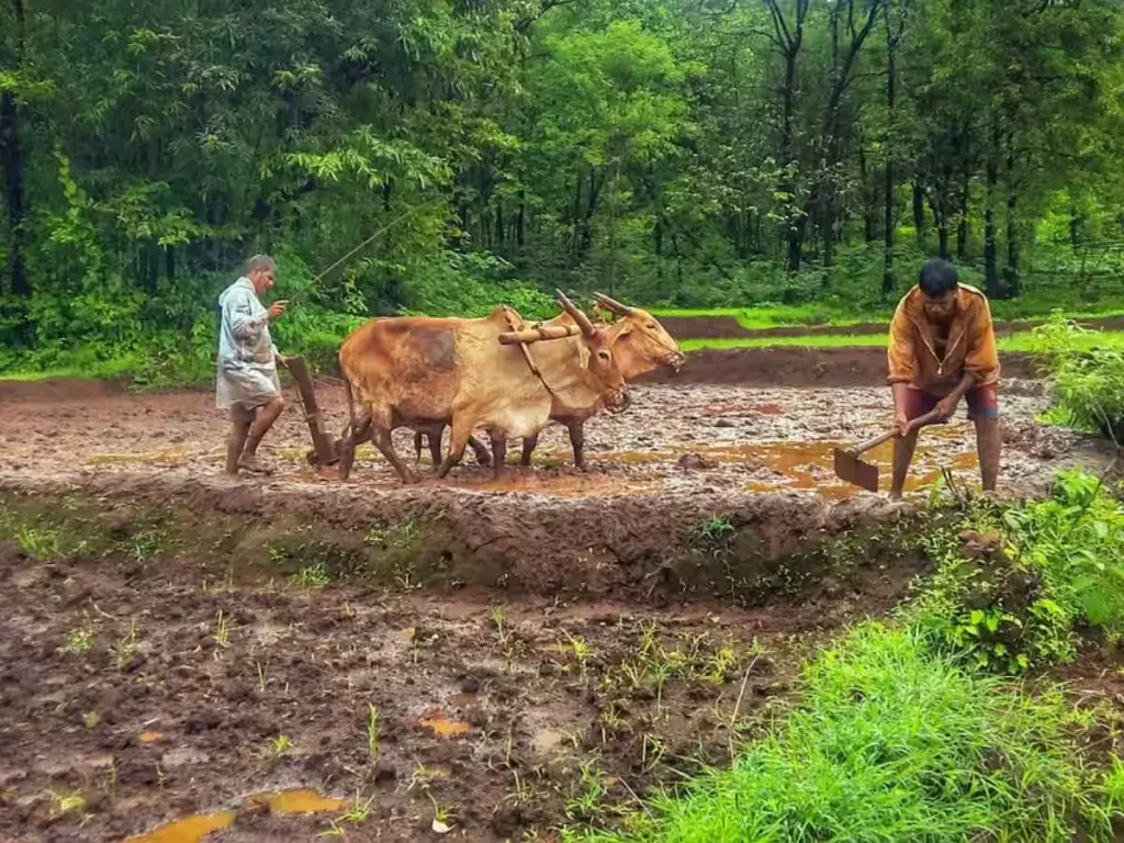 PM Kisan 18th Installment Status