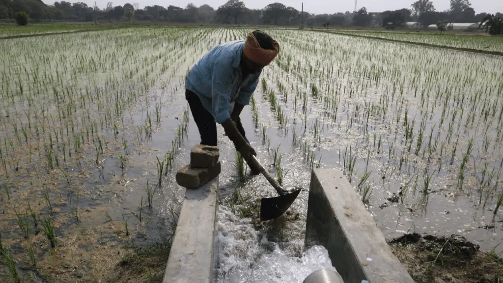 PM Kisan 19th Installment 2025 PM Kisan 19th Installment