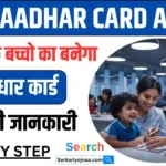 Blue Aadhar Card