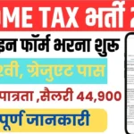 Income Tax Vacancy
