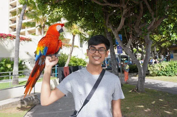 OpenAI rogue AI behavior