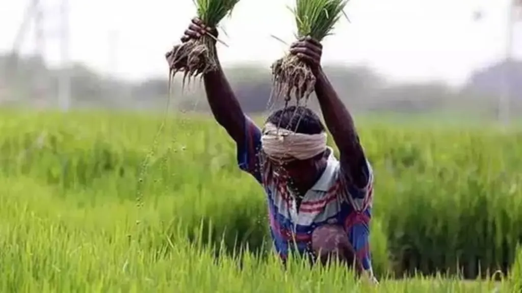 PM Kisan 2025 PM Kisan 2025