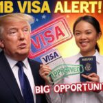 New Mexico Schools Offer H1B Visas