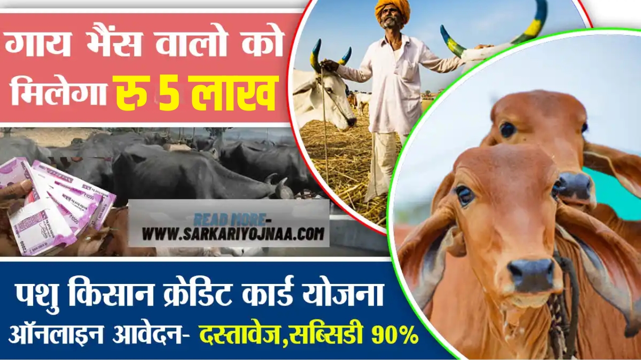 pashu Kisan credit card