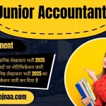 Junior Accountant Recruitment
