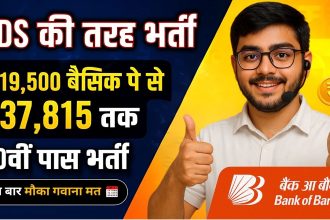Bank of Baroda Recruitment 2025 Notification Out